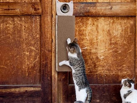 Top 6 Cat Door Scratcher For Frame, Knob, Hang, And More