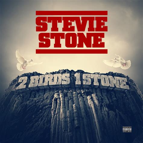 2 Birds 1 Stone Deluxe Edition Album By Stevie Stone Apple Music