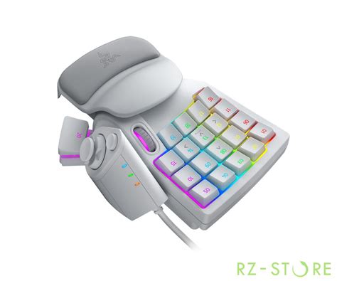 Кейпад Razer Tartarus Pro Mercury RZ07-03110200-R3M1 - Игровые ...