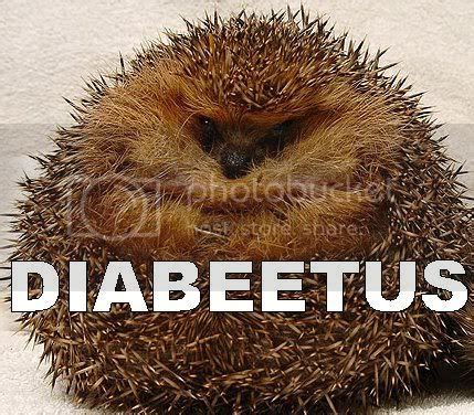 FARK.com: (3202553) When the world's fattest hedgehog arrives at an ...