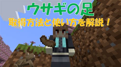 【マイクラ】「ネザースター」の取得方法と使い方！強敵ウィザーを倒そう ビビアンのマイクラ攻略ブログ