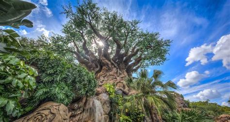 8 Totally Cool Things About The Tree Of Life At Walt Disney World ...