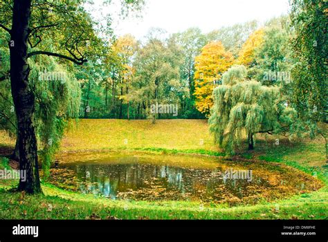 Ypres Caterpillar Crater Stock Photo Alamy