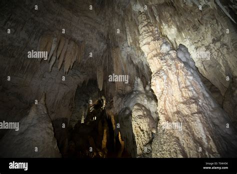 Waitomo Glowworm Caves, interior, Otorohanga, Waikato, North Island, New Zealand Stock Photo - Alamy