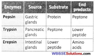 Wbbse Class Life Science Solutions Chapter Nutrition Wbbse