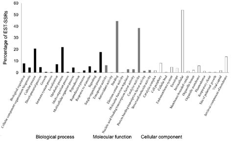 Functional Annotations Of 247 Expressed Sequence Tag Derived Simple Download Scientific Diagram