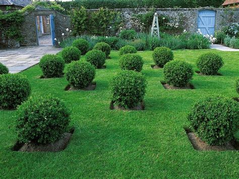 25 Ideas for Fabulous Boxwood Designs | Boxwood garden, Boxwood ...