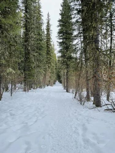 Best Cross Country Skiing Trails In Kananaskis Improvement Alltrails