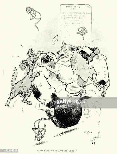 Rabid Dog Cartoon Photos and Premium High Res Pictures - Getty Images