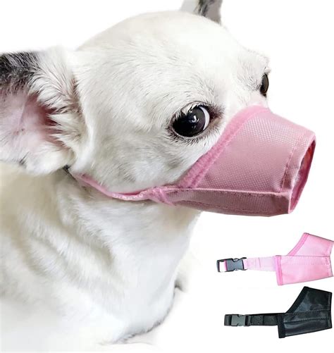 The 5 Best Muzzles For Small Dogs - Dogtime