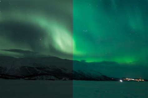 How To See The Northern Lights On A Budget This Season