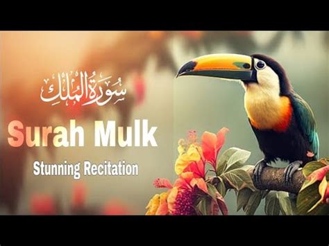 Very Beautiful Recitation Of Surah Mulk Epi 112 Heart Touching