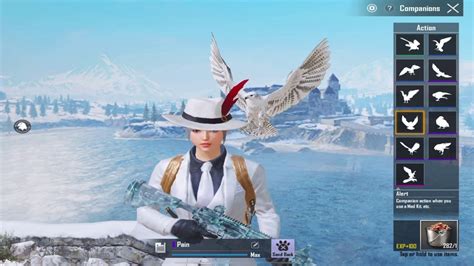 I M The First Who Upgraded Companion Falcon To Max Level 7 PUBG