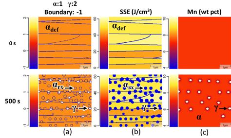 Exemplary MICRESS Simulation Results Of Intercritical Annealing With