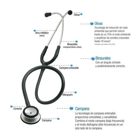 Auscultaci N Mind Map