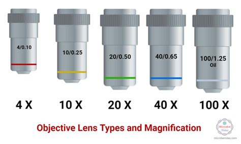 Objective Lenses Types Parts Magnification Uses Care