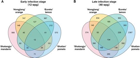 Frontiers Comparative Transcriptome Profiling Of Susceptible And