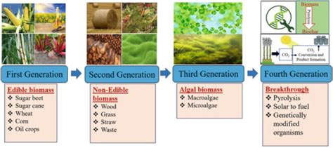 Export Of Biofuels From Sezs And Eou