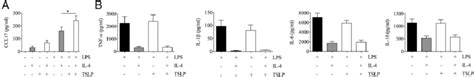 TSLP Enhances LPS And IL 4 Induced CCL17 Production A And B Human