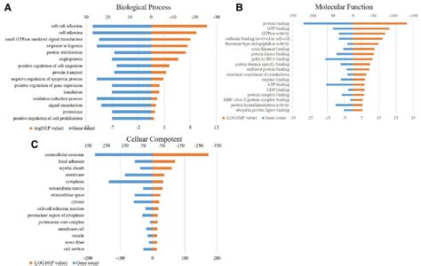 Gene Ontology Go Analysis Of Biological Processes Cellular