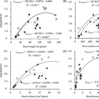 Relationships Of A Root Length B Root Surface Area C Root