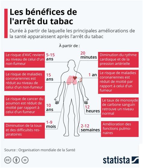 Les Premiers Bénéfices De Larrêt Du Tabac Apparaissent Au Bout De 20