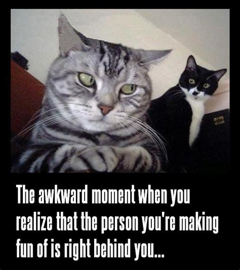 So embarrassing… | Funny Pictures, Quotes, Pics, Photos, Images. Videos of Really Very Cute animals.