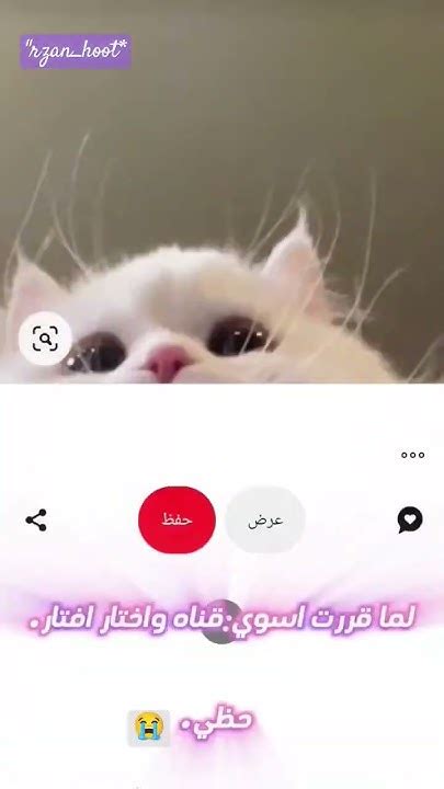 ما عليكم كل يوم راح انزل فيد بس اذا وقفت اعرفو اني طفرت افكار👍😭 Youtube