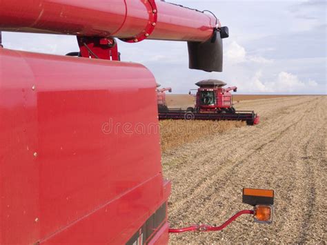 Harvest Soybean Editorial Stock Photo Image Of Countryside 46954453