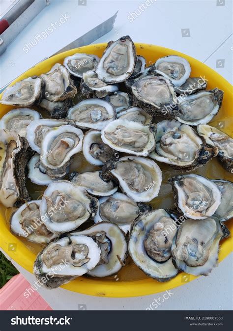 9 Halfshell Oyster Images, Stock Photos & Vectors | Shutterstock