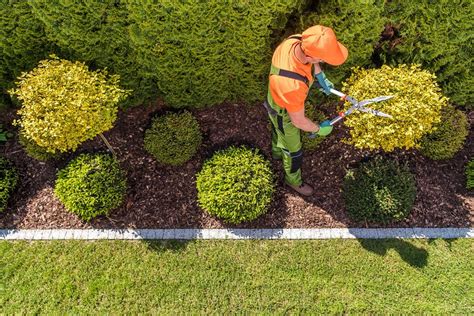 Professional Lawn Care Services Lawn Maintenance Services