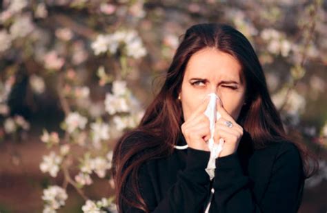 Easy Remedies To Help Relieve Allergies One News Page Video