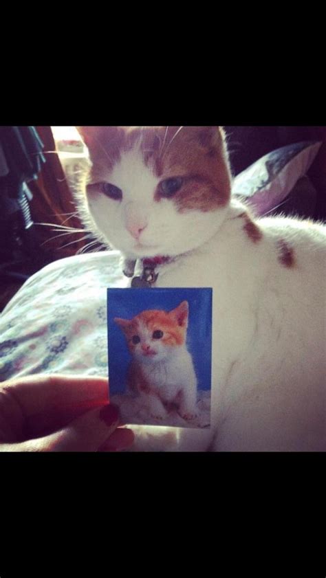 When Your Mum Starts Showing Your Naked Baby Photographs R Funny