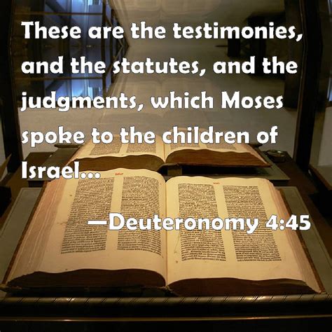 Deuteronomy 4:45 These are the testimonies, and the statutes, and the ...