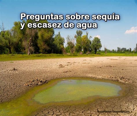 ¿qué Es La Sequía Y Cómo Se Relaciona Con La Escasez De Agua Sgk Planet