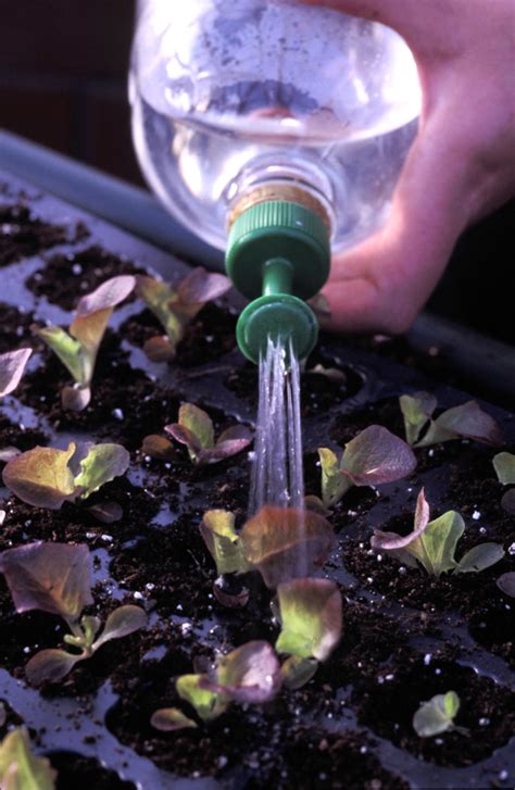 Ways To Water Your Garden Efficiently Richard Jackson Garden