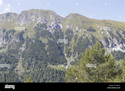 view of the Alps mountains in summer Stock Photo - Alamy