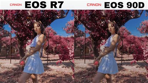 Canon EOS R7 Vs Canon EOS 90D Camera Test YouTube