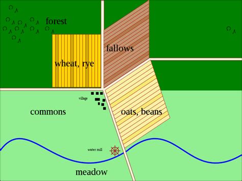 Crop Rotation And Biofuel Production