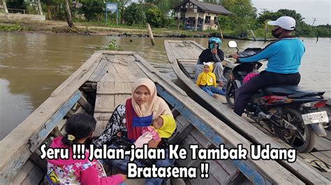 Seru Jalan Jalan Ke Tambak Udang Bratasena Youtube