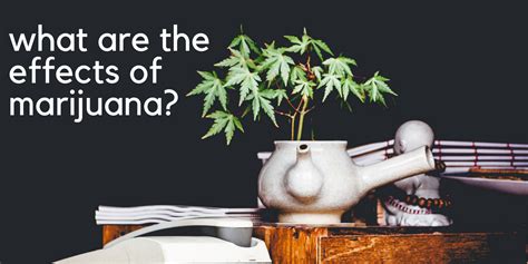 What Are the Effects of Marijuana? | Ocean Hills Recovery