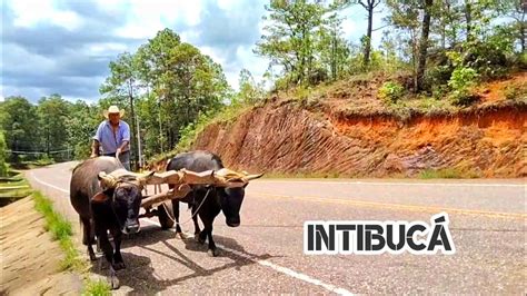 Carretera CA 11A De Yamaranguila A San Miguelito Intibucá Honduras