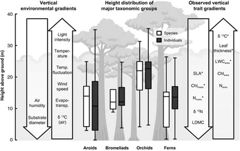 Functional Leaf Traits Of Vascular Epiphytes Vertical Trends Within The Forest Intra‐ And