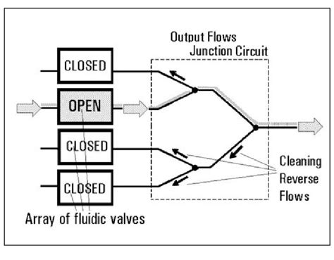 Schematic Representation Of Flows In The Flow Junction Circuit To