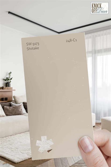 Sherwin Williams Shiitake Sw Your Best Beige For A Minimalist