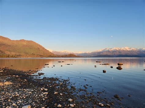 It's a wrap after 12 years on Auckland Council - Pippa Coom