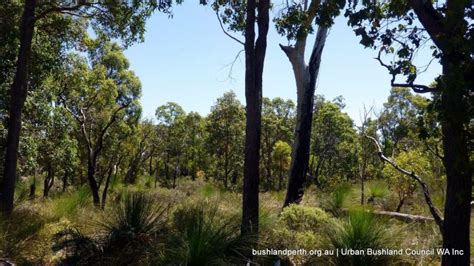 About Urban Bushland Council Wa