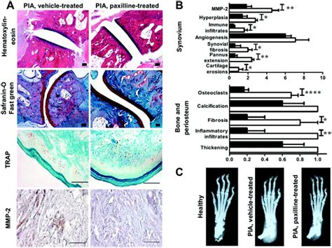 Reduction of joint damage in rats with pristane-induced arthritis (PIA ...