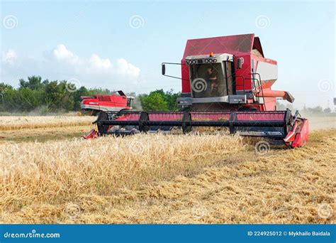 Wheat Harvesting On Field In Summer Season Combine Harvester Harvests