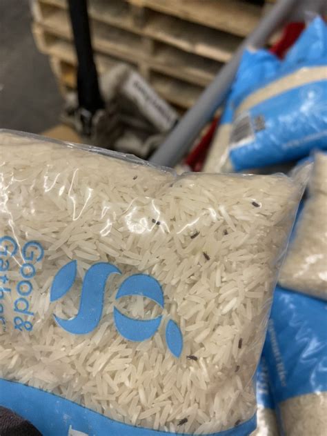 Target Weevils : r/weeviltime